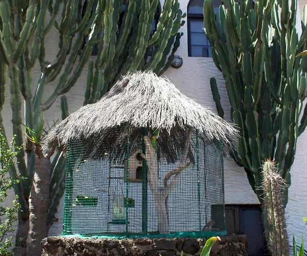 Miramar Boutique Adults Only Lejlighed Corralejo